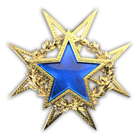 2015 Service Medal