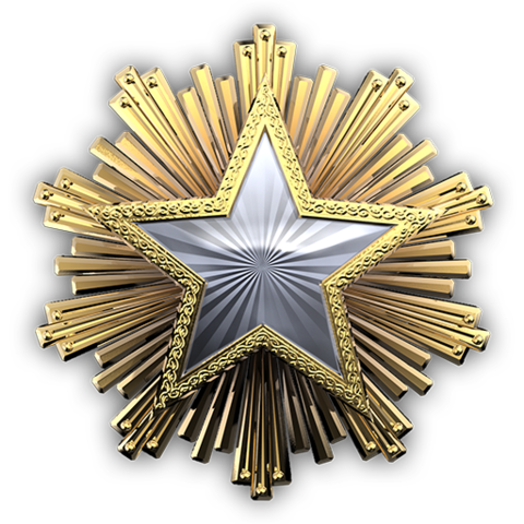 2016 Service Medal