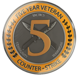 Five year Veteran Coin